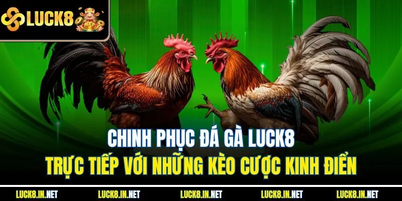 Chinh phục đá gà Luck8 trực tiếp với những kèo cược kinh điển