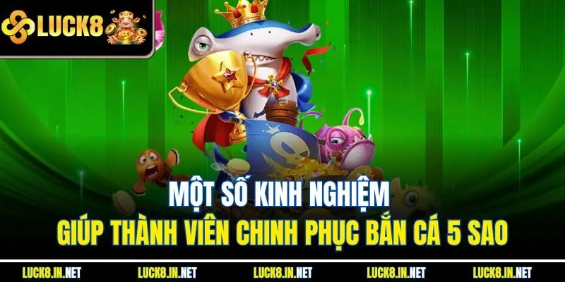 Một số kinh nghiệm giúp thành viên chinh phục bắn cá 5 sao